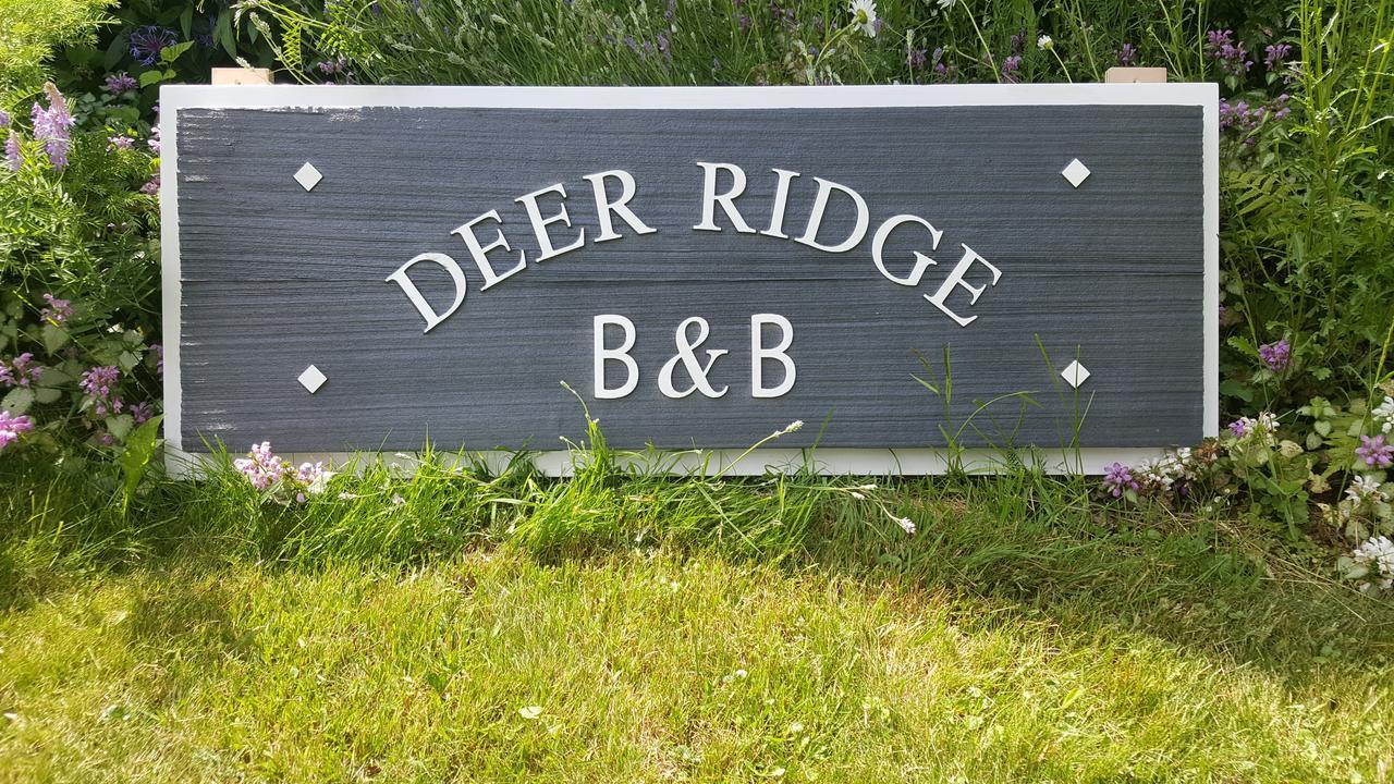 Deer Ridge B&B Golden Exterior foto